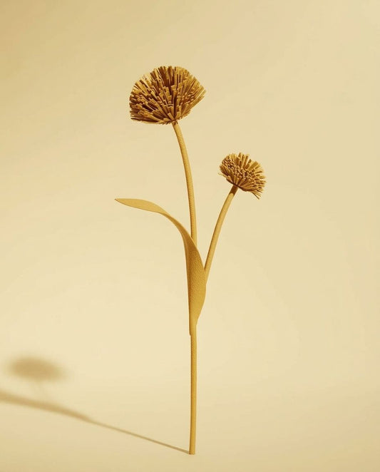 DASE Bloom Stick
