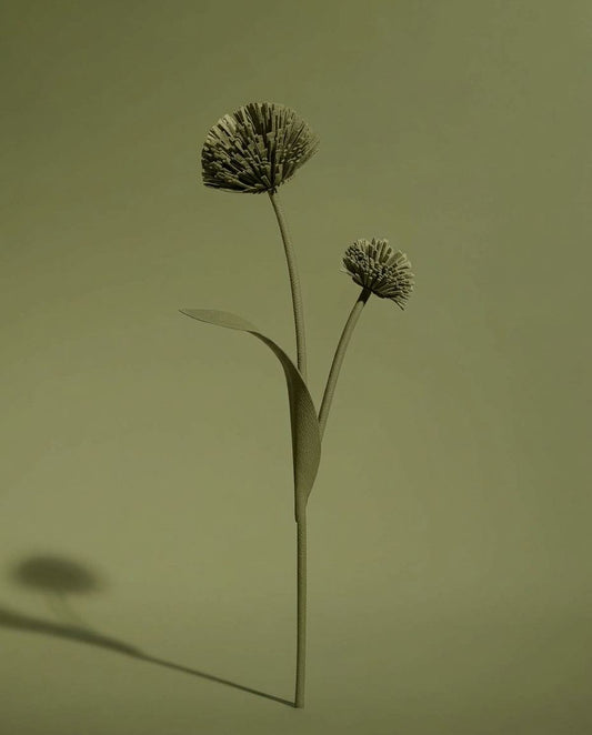 DASE Bloom Stick