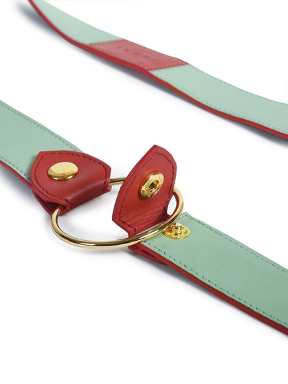 Red Hathi Batua Bag and Strap Belt