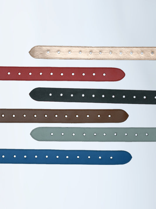 Immri Reversible Belts for Akshars